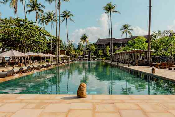 En udendørs swimmingpool omgivet af liggestole og palmer. (AI-genereret tekst)