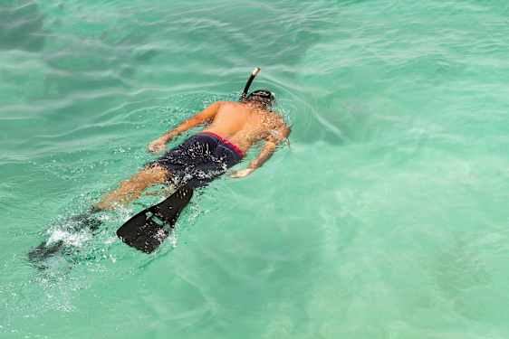 En person snorkler i klart turkisblåt vand. (AI-genereret tekst)