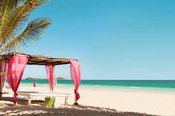 Strand med parasol og rosa stof med en fremtrædende palme. (AI-genereret tekst)