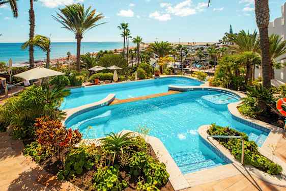 Udsigt over en pool omgivet af grønne planter og palmer, med havet i baggrunden. (AI-genereret tekst)