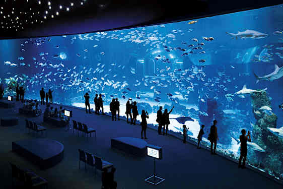 Folk står ved et stort akvarium, der viser forskellige fisk og hajer. (AI-genereret tekst)