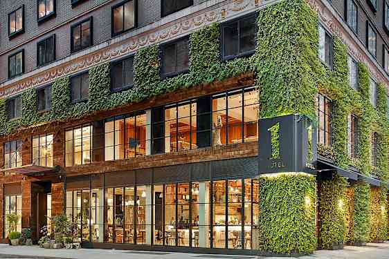 En facade af et hotel dækket med vedbend, med store glasvinduer der viser interiørets varme lys. (AI-genereret tekst)