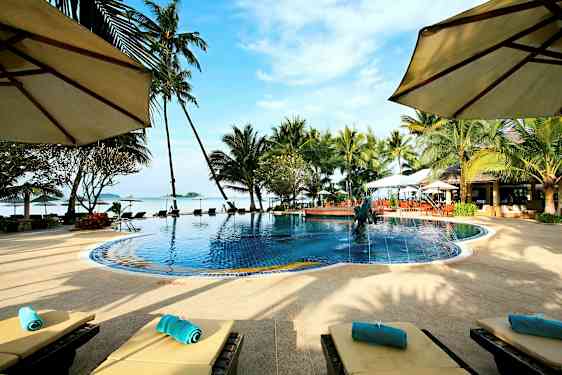 En pool omgivet af palmer og liggestole med udsigt over havet og en blå himmel. (AI-genereret tekst)