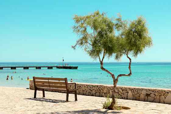 En parkbænk ved en stenmur med et ensomt træ i forgrunden, og folk bader i havet med en bro i baggrunden. (AI-genereret tekst)