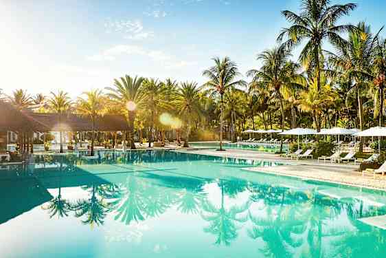 Swimmingpool omgivet af liggestole og palmer. (AI-genereret tekst)