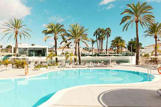 Poolområde med palmer, liggestole og moderne bygning i baggrunden. (AI-genereret tekst)