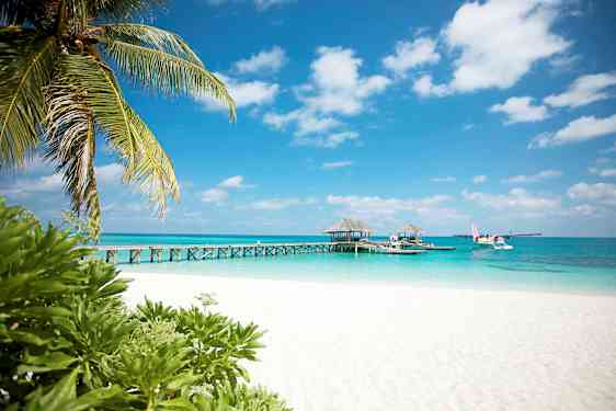 En hvid sandstrand med palmer og bro, der fører ud til resorthuse på vandet. Et vandfly ses ved siden af broen. (AI-genereret tekst)