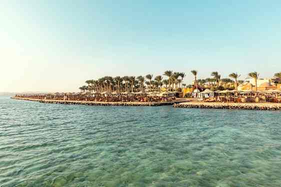 En strand med parasoller og palmer ved siden af klart blåt vand. (AI-genereret tekst)