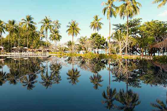 Pool med palmer, der reflekteres i vandet. (AI-genereret tekst)