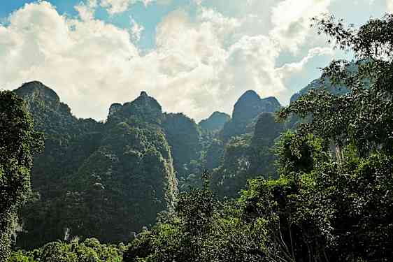 Grønne bjerge med træer og blå himmel i baggrunden. (AI-genereret tekst)