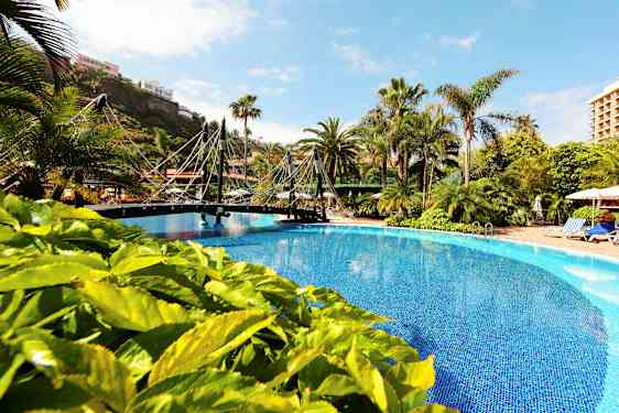 En udendørs pool omgivet af grønne planter og palmer. En lille bro går over poolen. (AI-genereret tekst)