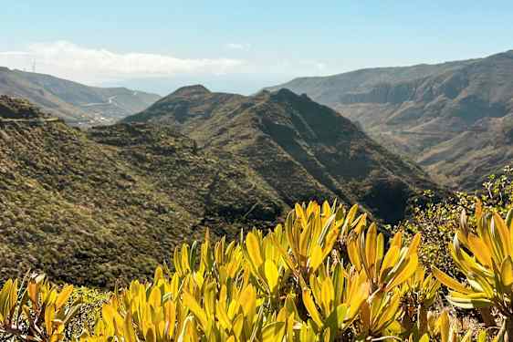 Udsigt over bjergrigt landskab med grøn vegetation og buske i forgrunden. (AI-genereret tekst)