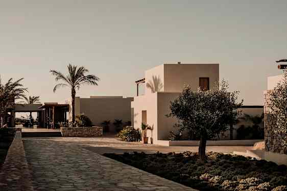 En lys bygning omgivet af palmetræer og en stenbelagt gang. (AI-genereret tekst)