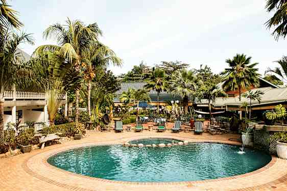 En udendørspool omgivet af grønne palmer og liggestole, med en bygning i baggrunden. (AI-genereret tekst)