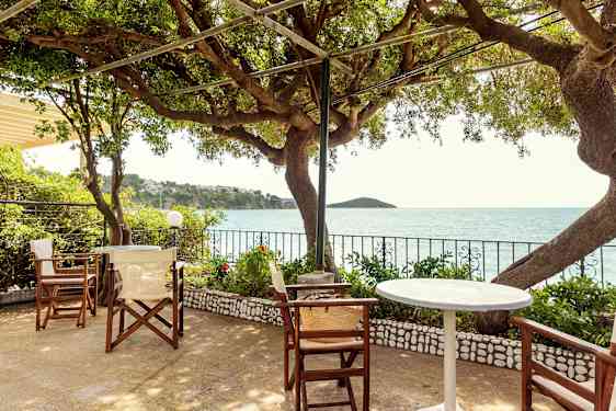 Udendørsområde med udsigt over havet gennem grene, borde og stole i forgrunden. (AI-genereret tekst)