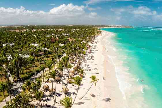 En hvid sandstrand med turkis vand og mange palmer. Strandbesøgende og strandstole ses langs stranden. (AI-genereret tekst)