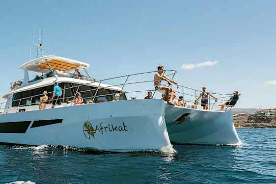 Personer på en katamaran i solrigt vejr, omgivet af vand og en kystlinje i baggrunden. (AI-genereret tekst)