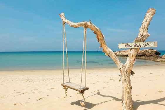 En gynge af træ hænger i reb fra en gren på stranden med blåt hav i baggrunden. (AI-genereret tekst)