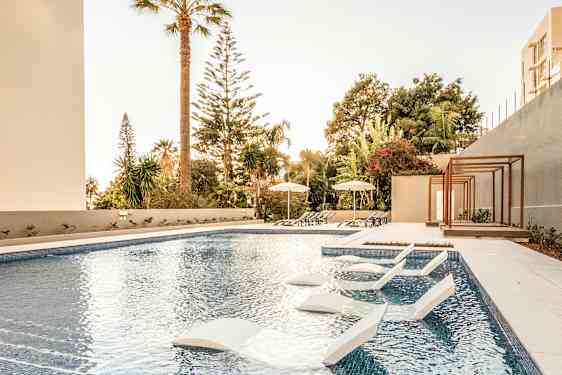 Udendørs pool med solsenge og parasoller, omgivet af træer og vegetation. (AI-genereret tekst)