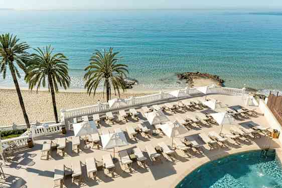 En strand med palmer, liggestole og parasoller ved et blåt hav. (AI-genereret tekst)