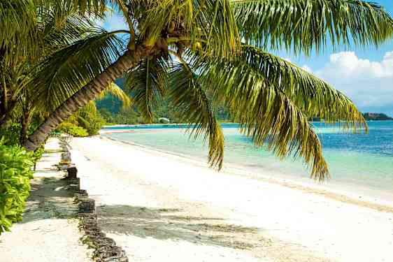 En strand med hvidt sand, omgivet af klart blåt vand og hængende palmetræer. (AI-genereret tekst)