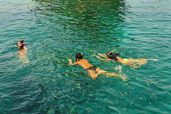 Personer der snorkler i klart vand med fisk omkring. (AI-genereret tekst)