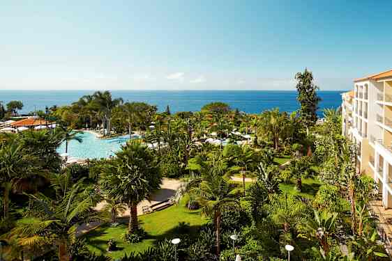 En hotelhave med palmer og planter, en swimmingpool i midten og havet i baggrunden. (AI-genereret tekst)