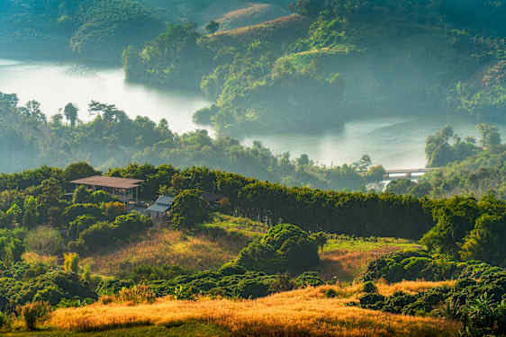 Doi Chang, Chiang Rai