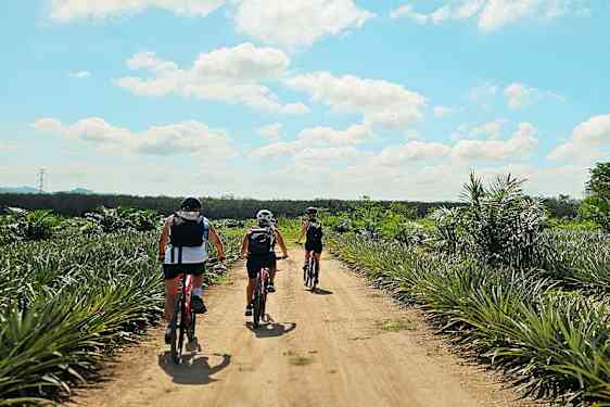 Tre personer cykler på en grusvej gennem et tropisk landskab. (AI-genereret tekst)