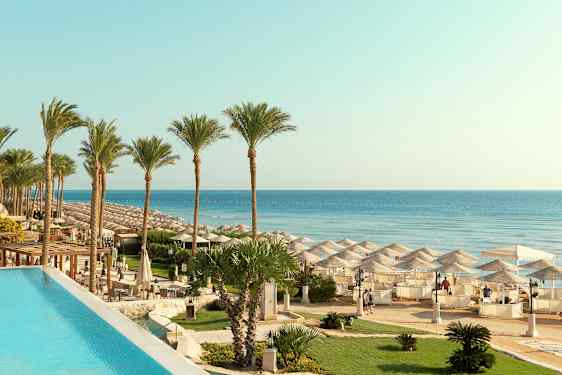 Palmer ved en strand med parasoller og klart blåt vand. (AI-genereret tekst)