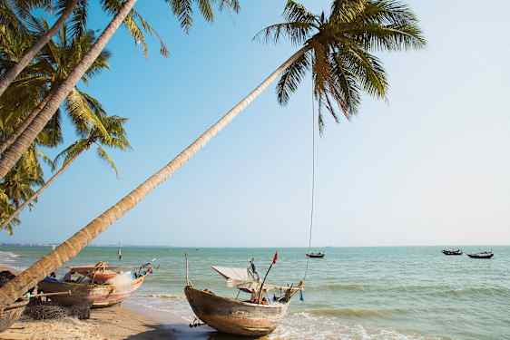 Udsigt over en tropisk strand med palmer og traditionelle både ved vandet. (AI-genereret tekst)
