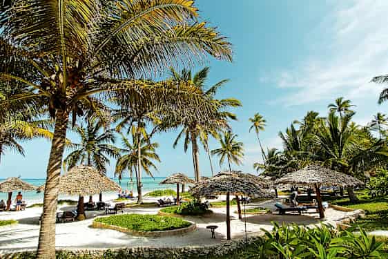 Strand med kokospalmer, parasoller og solsenge under en blå himmel. (AI-genereret tekst)