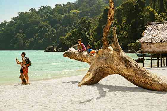 To børn sidder på en stor træstub på en sandstrand ved havet, omgivet af frodig skov og træbygninger. (AI-genereret tekst)