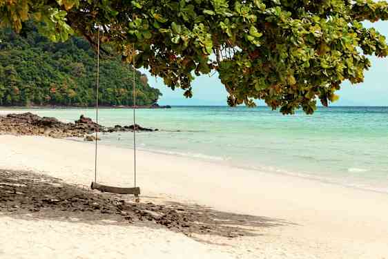 En gynge hænger fra et træ ved en sandstrand med klart vand. (AI-genereret tekst)