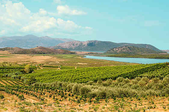 CFU Butrint & Farm - Now and Then (BUFA)