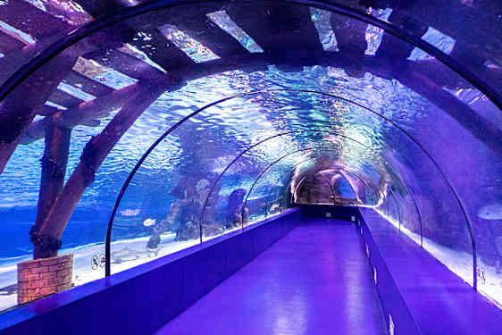 AYT/GZP Aquarium Antalya (AQAN)
