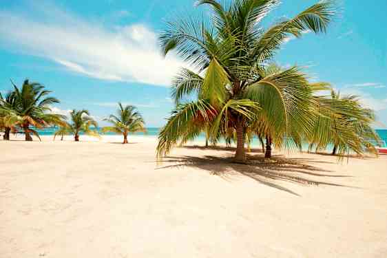 PUJ Saona Island Catamaran (SAON)