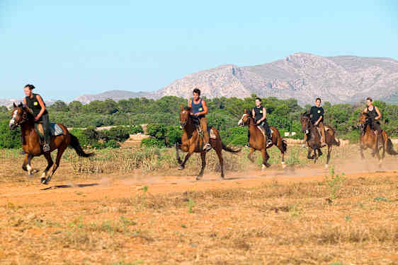 PMI Rancho Grande (RANC)