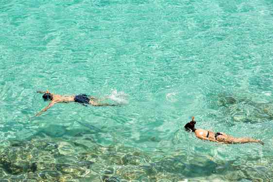 LCA Snorkel Adventure Morning (SNR2)