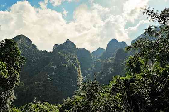 HKT Khao Sok - In the middel of the forrest (RAIN)