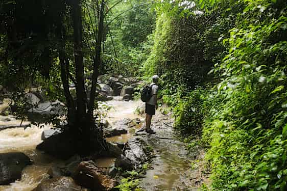 HKT Jungle Trekking (JUTR)