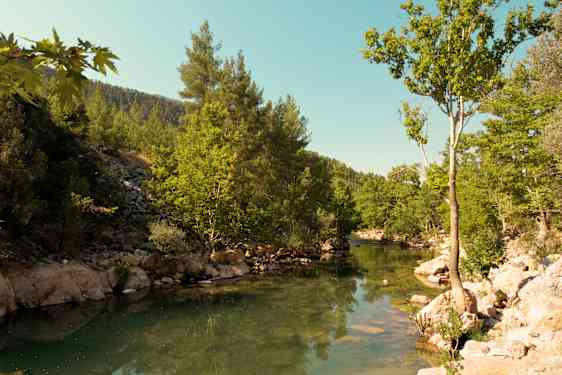 AYT Offroad Buggy Taurus Mountains (BSSI)