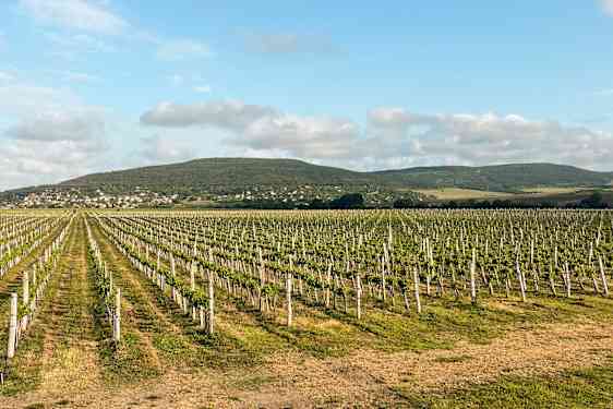 VAR Wine your way (WIYW)