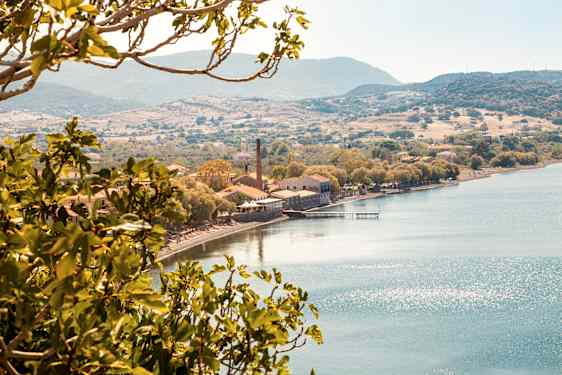 MJT Sunset by Saint George (SUSG)