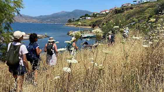 Vandring på Lesbos