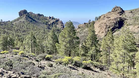 Roque Nublo på Gran Canaria