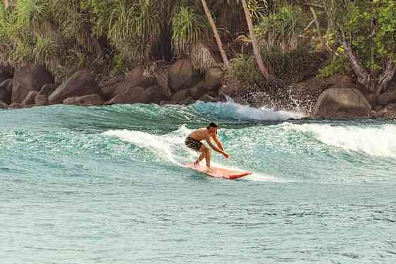 surfer i vandet med palmer i baggrunden