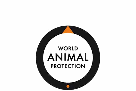 World Animal Protection logo