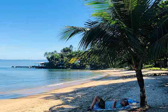 Skøn skygge fra palmerne