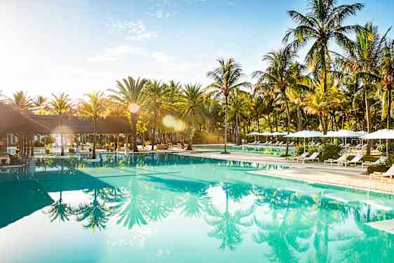 The Ravenala Attitude